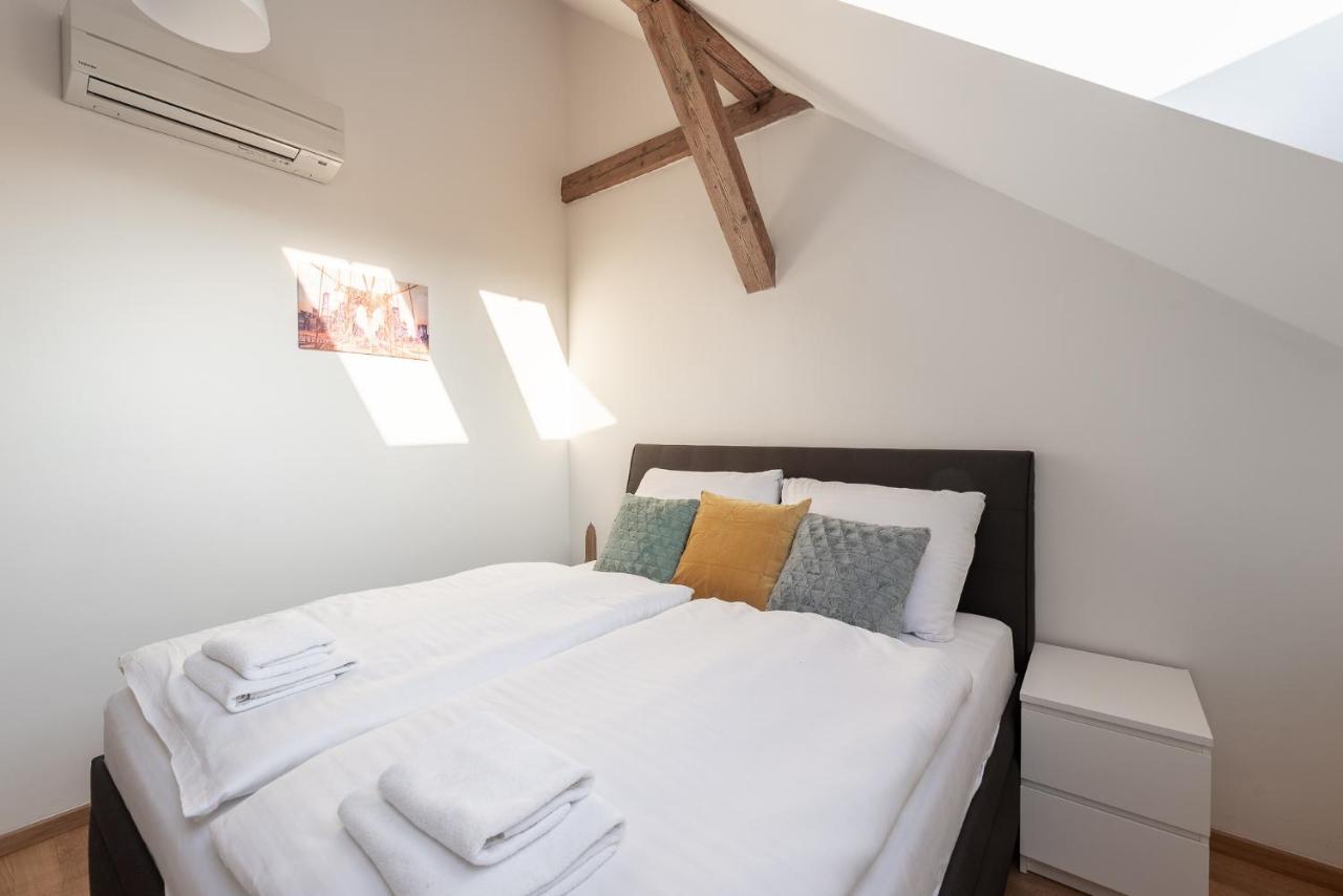 Tesnov Grande Apartamento Praga